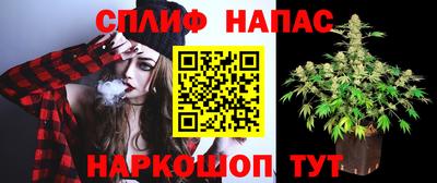 трава Кандалакша