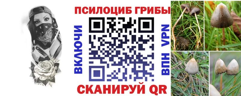 где купить наркотик Костомукша Псилоцибиновые грибы ЛСД